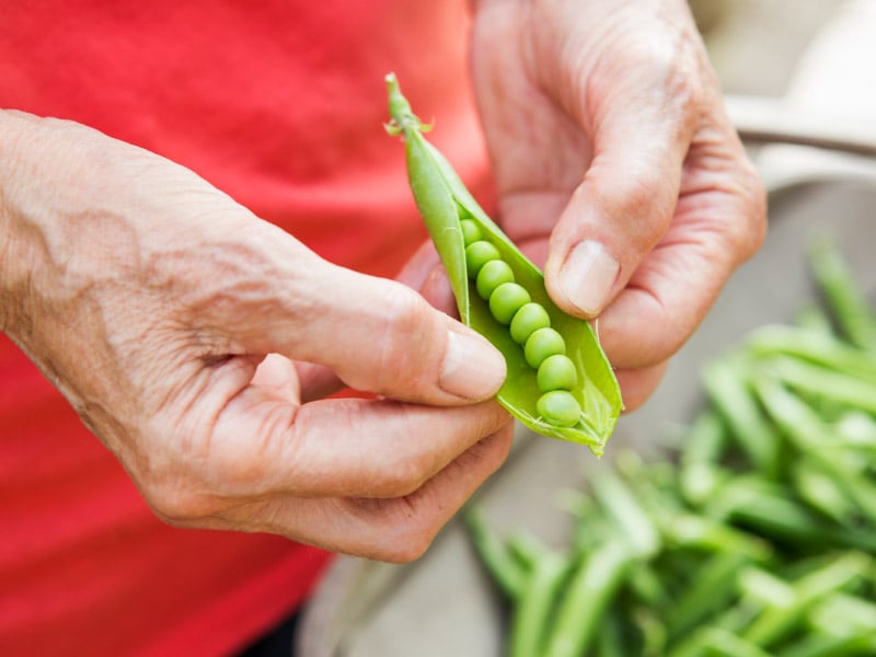 Eating more plant protein, less red meat may lower women's risk of early death