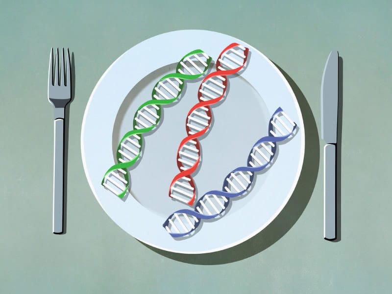 Want a personalized diet to prevent disease? Nutrition scientists are working on it