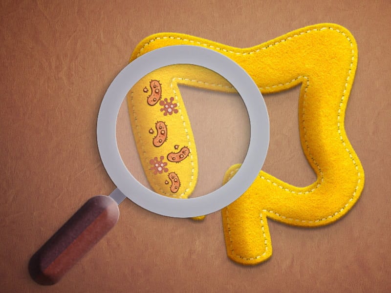 How might fiber lower diabetes risk? Your gut could hold the clues
