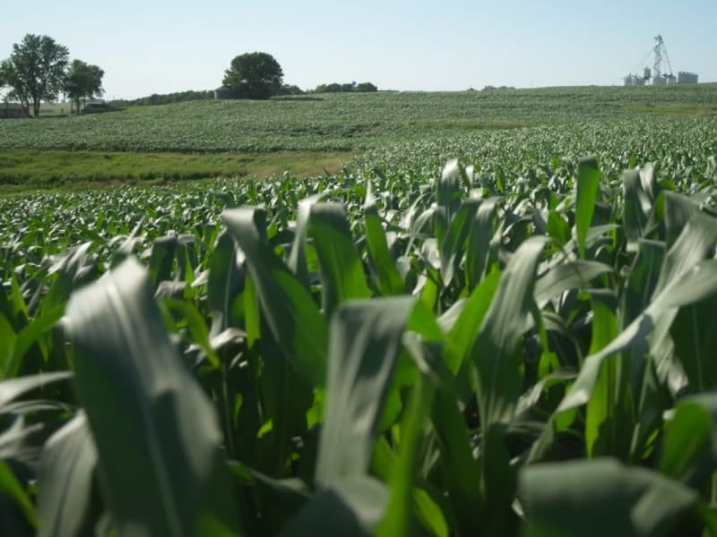 To save their soil, Kansas tribe shifts to regenerative agriculture – and transforms their farms