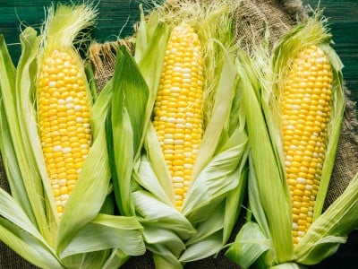 More than a kernel of truth: Corn can add a healthy crunch to your cookout