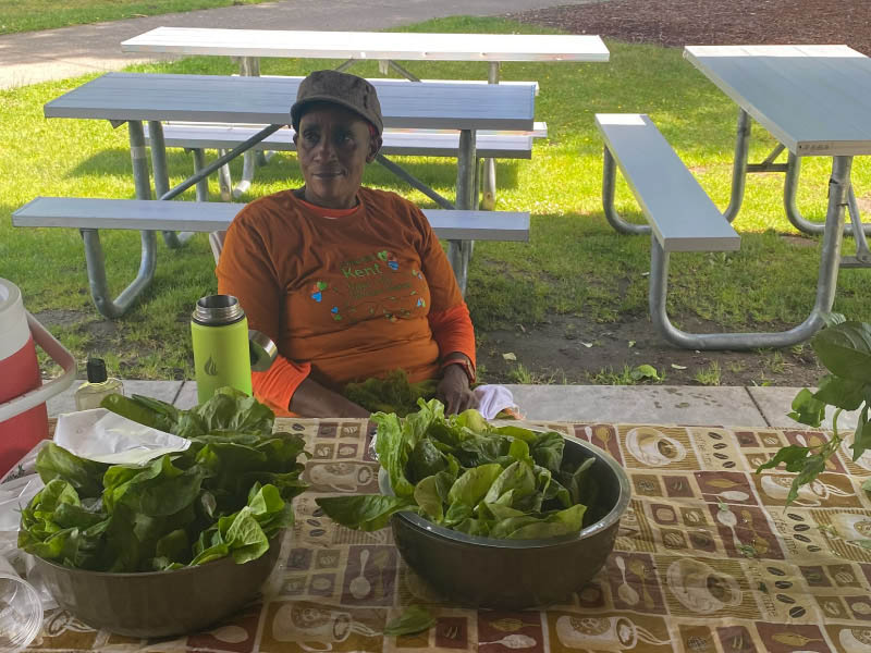 Farming takes root in Seattle-area food desert