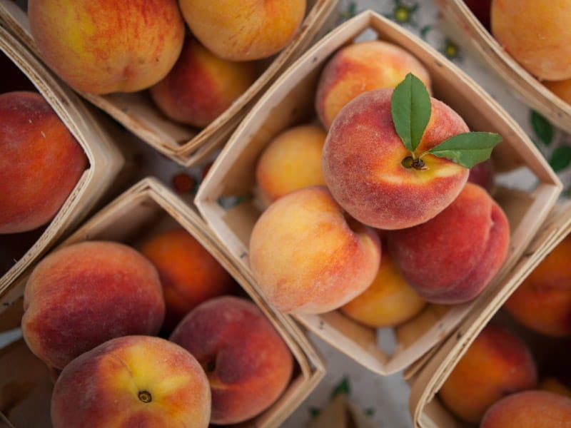 Fuzzy and full of nutrients, peaches are a summertime staple