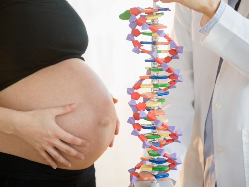 Diet during pregnancy may influence baby's cardiovascular health