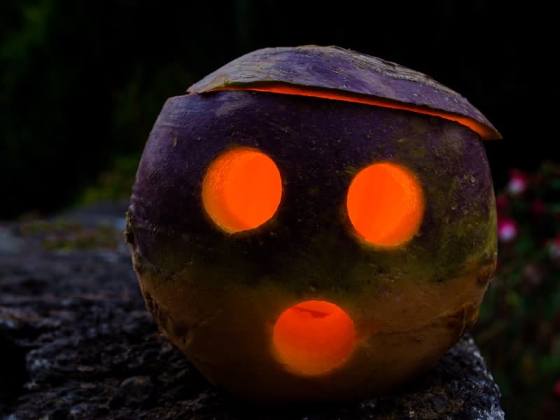 Does the turnip's spooky tale make the veggie a nutritional trick – or a treat?