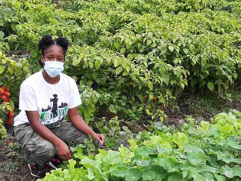 Farming program delivers agricultural know-how and nutrition