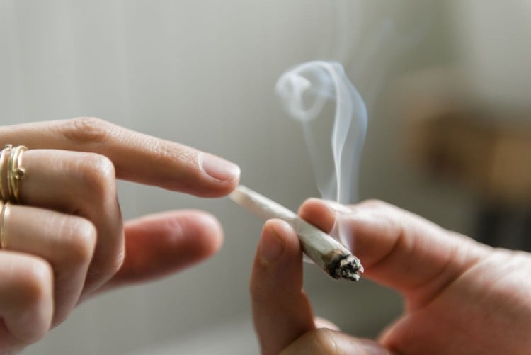 Marijuana Users Have Higher Levels of Heavy Metals in Blood, Urine