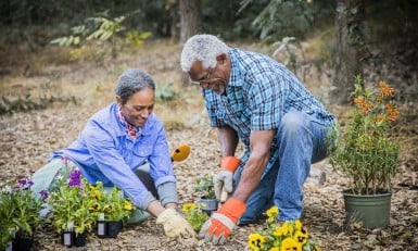 Review of Aetna Medicare Advantage