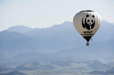 The Top 10 Wildlife Conservation Organizations