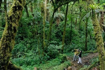 The 15 Most Beautiful National Parks to Explore