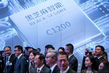 Black Sesame shares fall 50 percent