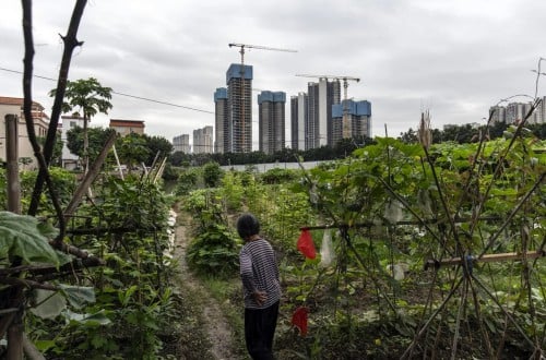 Country Garden’s sales slump worsens in January adding to woes