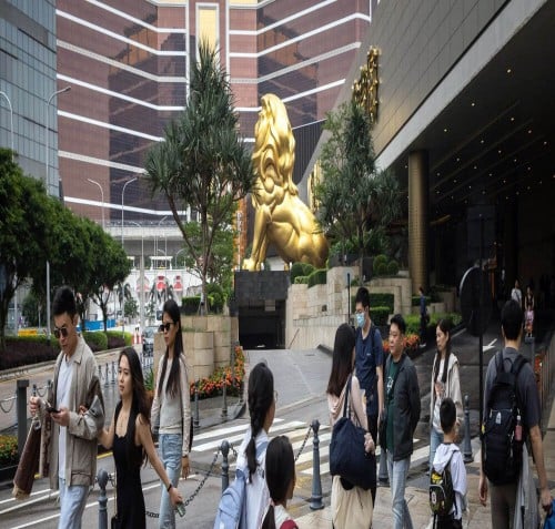 Investors cheer as MGM China's earnings rise