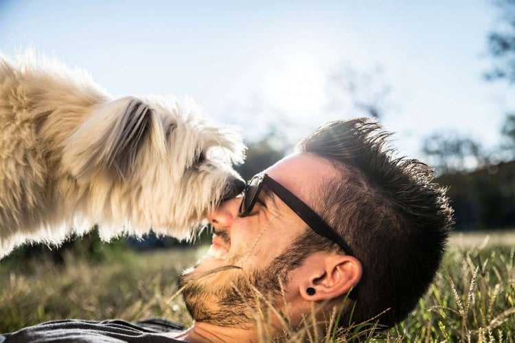 The New Pet Parent&amp;#39;s Guide to Adopting an Adult Dog