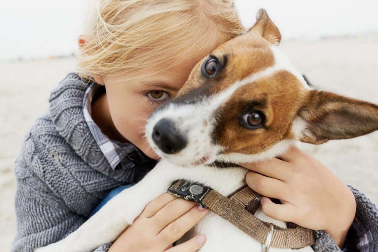 Why Are Dogs So Loyal? A Trainer and Behavior Expert Shares Some Insight