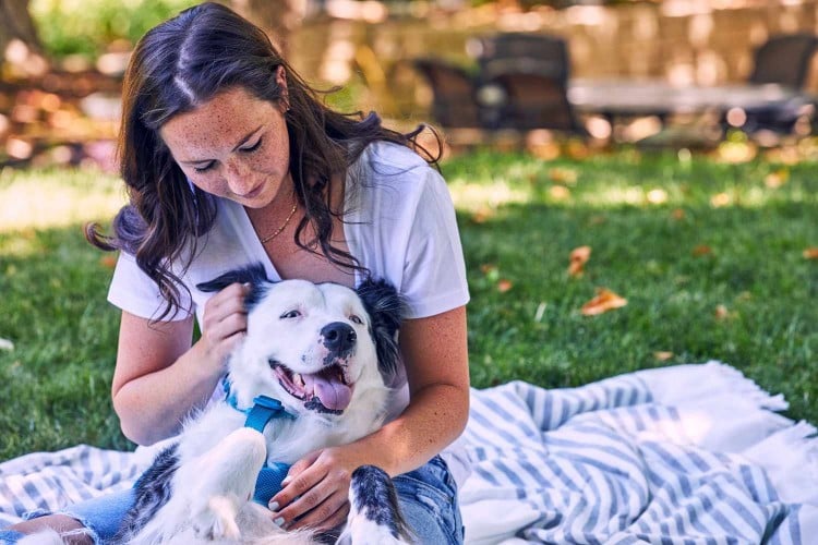 Why Do Some Dogs Like to Cuddle&mdash;and Others Don&amp;#39;t? A Behavior Expert Explains