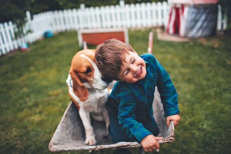 Does Your Dog Nuzzle? The Many Meanings of This Sweet Behavior