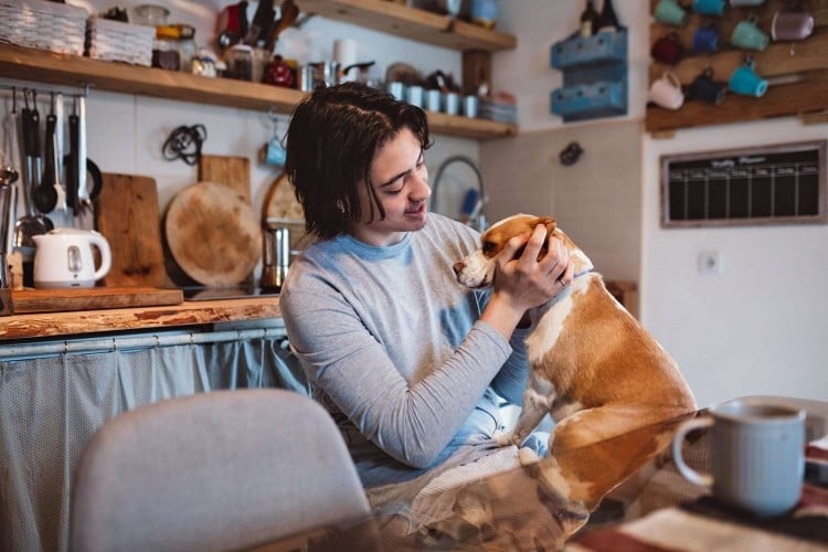 Is Cough Medicine Safe for Dogs? When You Should (and Shouldn&amp;#39;t) Turn To Cough-Suppressing Drugs