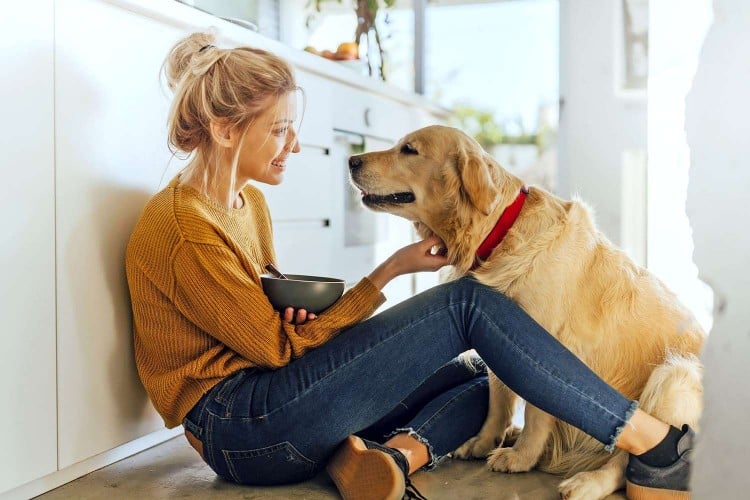 Could Your Dog Have Diabetes? Here&amp;#39;s What You Need to Know