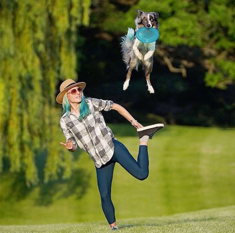 Meet Sara Carson and the Super Collies, a Group of Adorable Dogs Who Are Mastering Incredible New Tricks