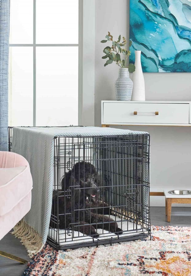 8 Secrets to Crate Training Your Dog or Cat