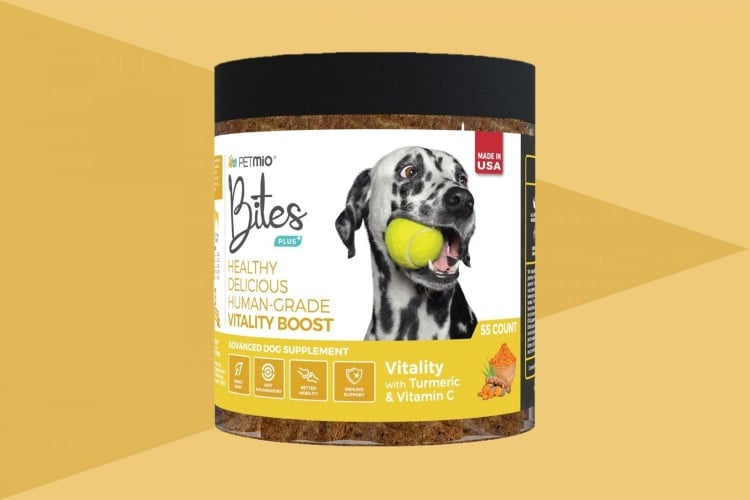 Do Dogs Need Vitamin C? Which Vitamin C Supplements to Try and When to Use Them