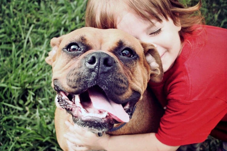 Heartworms in Dogs: Your Guide to Causes, Symptoms, Prevention, and Treatment
