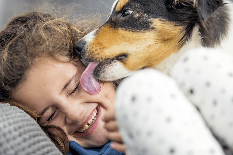 Is a Dog&amp;#39;s Mouth Actually Cleaner Than a Human&amp;#39;s?