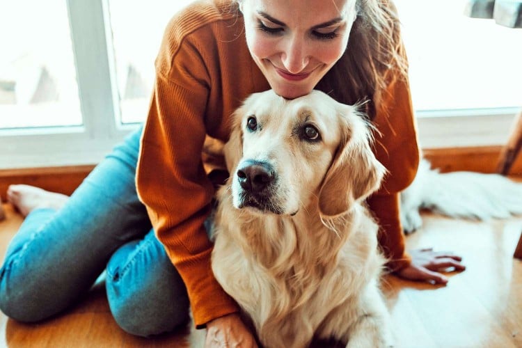 Signs a Dog Is in Pain and What You Can Do to Help