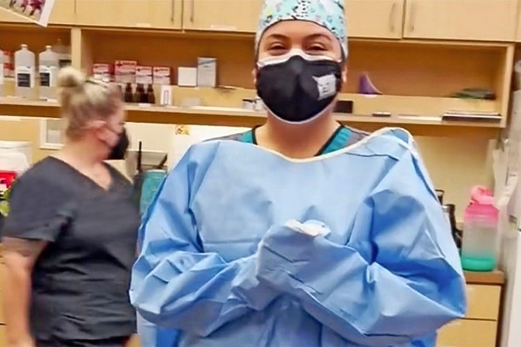 Watch These Vets Explain the Weirdest Things They&amp;#39;ve Removed From Dogs&amp;#39; Stomachs (Super Glue? Really?)