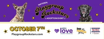 Meet our Playgroup Rockstars