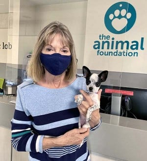 An Update On Eevie!