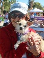 10 Reasons to Adopt a Senior Pet