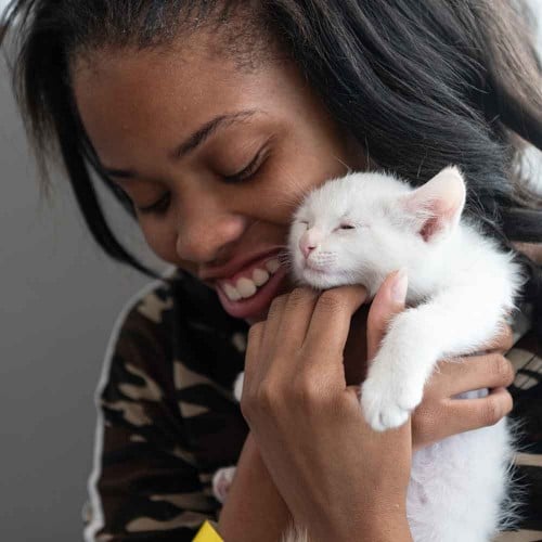 10 Tips for Selecting the Right Cat