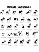 How to Read a Dog
