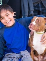Pit Bulls Make Great Family Pets