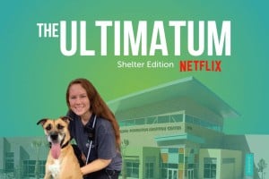 &quot;The Ultimatum:&quot; Shelter Edition