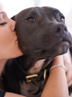 When is a Pit Bull not a Pit Bull?